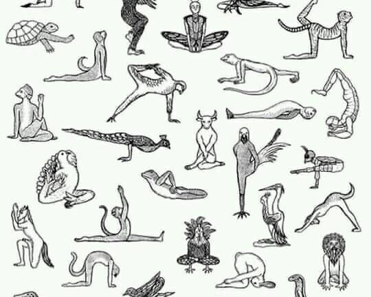 Los Asanas, La &Eacute;tica Y La Evoluci&oacute;n